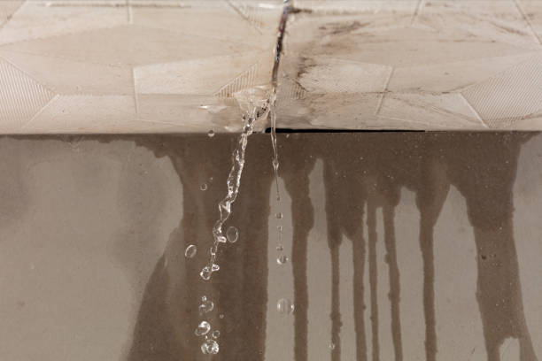 Professional Commercial Water Damage Restoration technician working in New Haven, MI